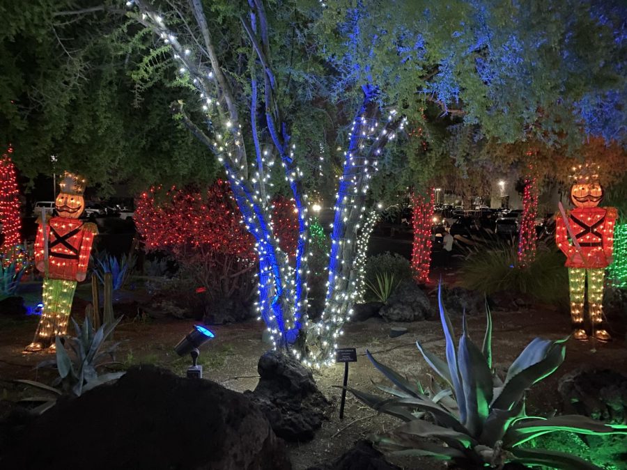 Sneak Peak of the beautiful lights at Ethel M Chocolate Factory. A winter wonderland in the middle of the desert. 