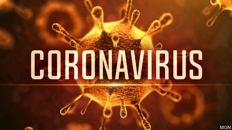 Coronavirus%2C+an+Outbreak