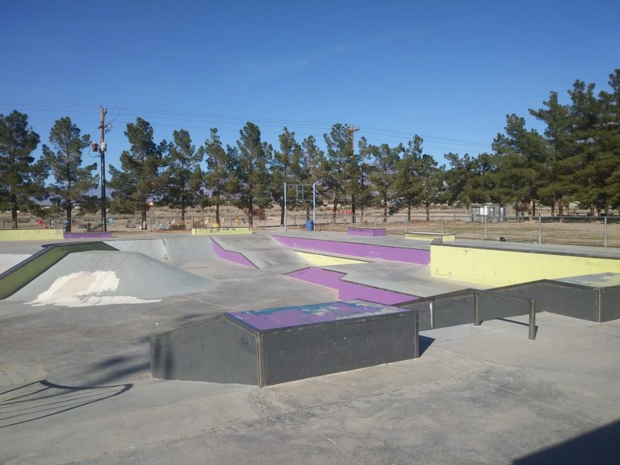 Picture of Honeysuckle parks skate park.