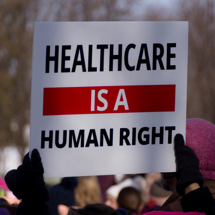 https://commons.wikimedia.org/wiki/File:Healthcare_is_a_human_right_-WomensMarch_-WomensMarch2018_-SenecaFalls_-NY_(28029120109).jpg 