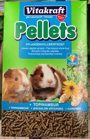 Are guinea pigs good starter pets?
