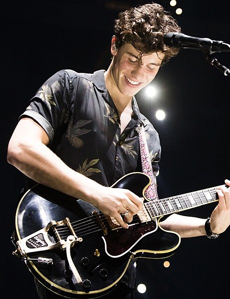 https://commons.wikimedia.org/wiki/File:Shawn_Mendes_Live_in_Concert_%28cropped%29.jpg