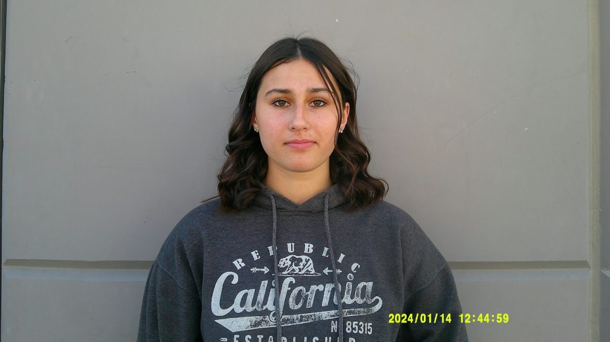 Sadie Freeman