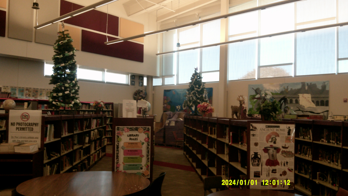 PVHS library