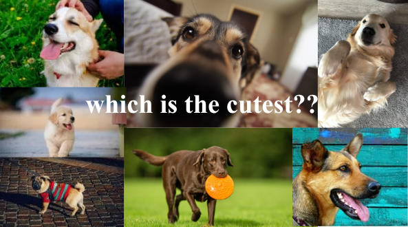 Made using Canva