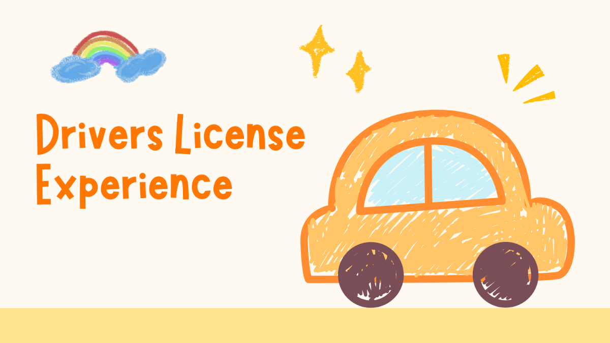 The Driving Experience