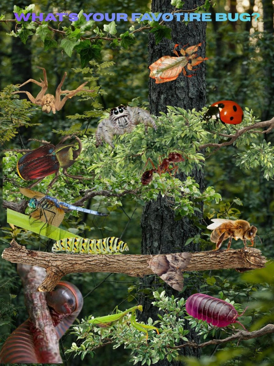 Made in Canva