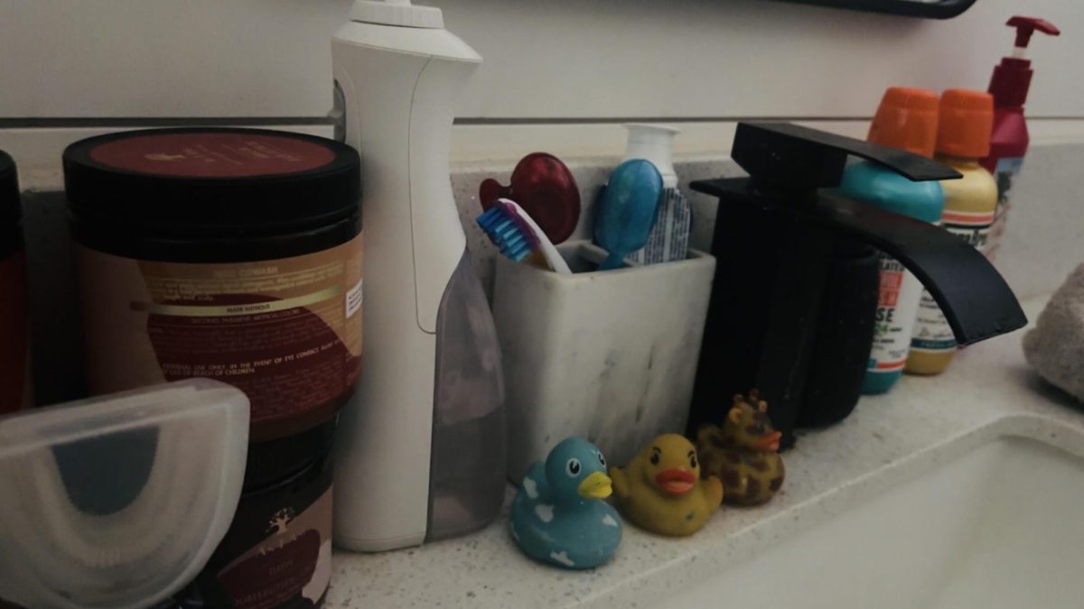 my beautiful bathroom and the products being held within